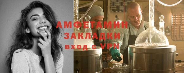 гидра Богородицк