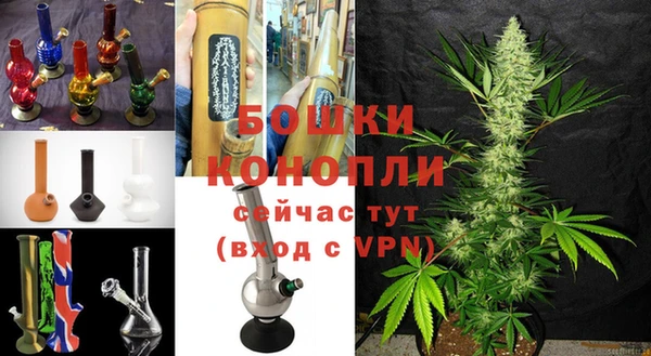 гидра Богородицк