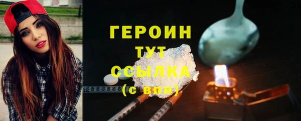гидра Богородицк
