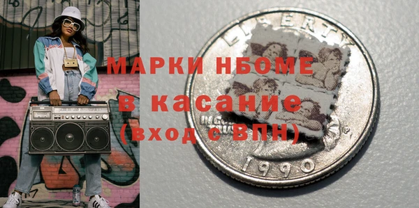 гидра Богородицк