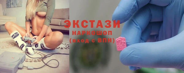 СК Богородск