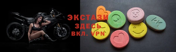 гидра Богородицк