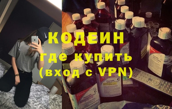 гидра Богородицк