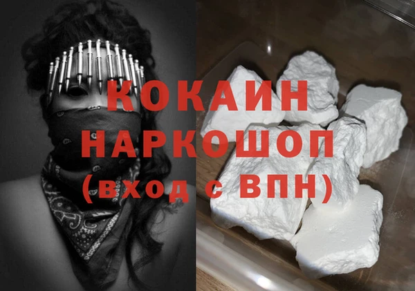 гидра Богородицк