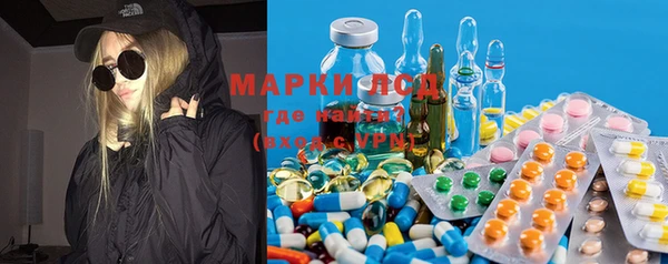 гидра Богородицк