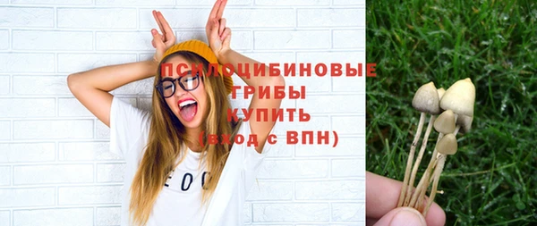 СК Богородск