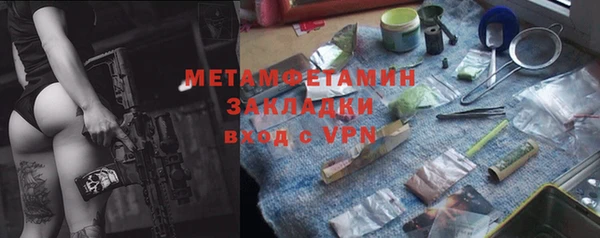 гидра Богородицк