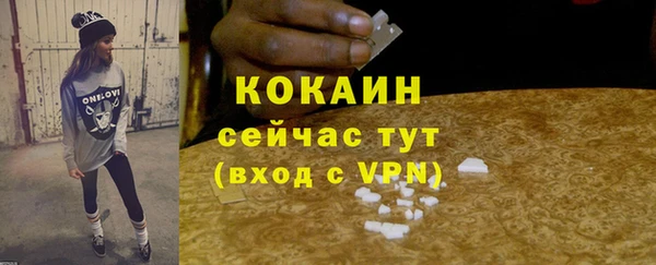 гидра Богородицк
