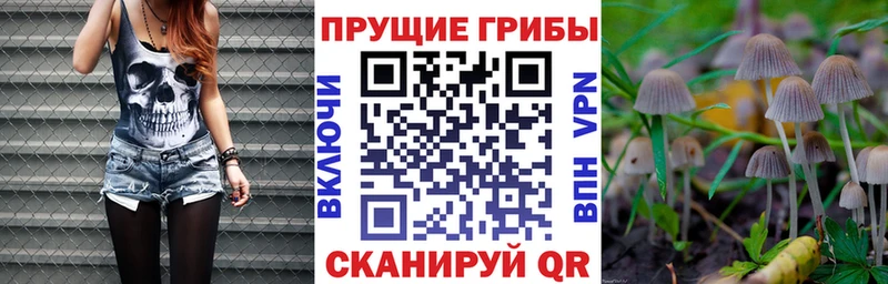 Галлюциногенные грибы ЛСД  Малаховка 